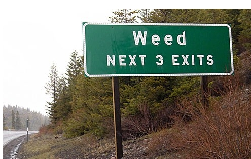 weed.PNG