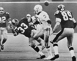 Immaculate reception